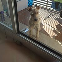 Avatar de Jorge Rivero