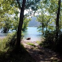 Avatar de Mihai Soare