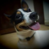 Avatar de Vanessa CebalEs