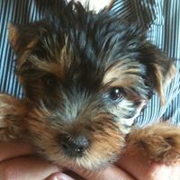 Avatar de Javier Aguilera Muñoz