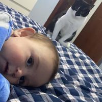 Avatar de Aroa Sanchez Lobato