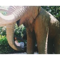 Avatar de Mariola Vic