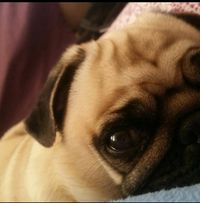 Avatar de Julio Jesus Nosequé Nosecuantos