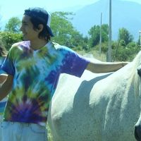 Avatar de Diego Jara