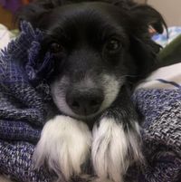 Avatar de Nerea cerezo