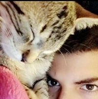 Avatar de Alay El Qaoui