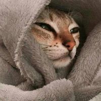 Avatar de Nicolás Andres