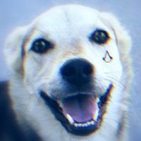 Avatar de Alguien JaJa