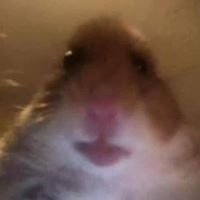 Avatar de Ramses Hrndz