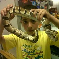 Avatar de Hamza Labrak