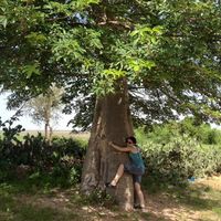 Avatar de Mara Sierra