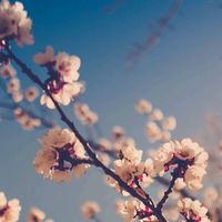 Avatar de Naty Vileikis