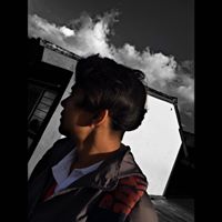 Avatar de Juan David Burbano