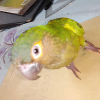 Avatar de Yusmira Obando