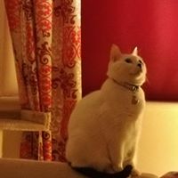 Avatar de Lexis Oteyos