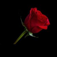 Avatar de Gerard Badi