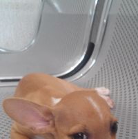 Avatar de Adri Gonzalez