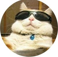 Avatar de Fharuk Mendoza Ruiz