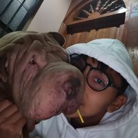 Avatar de Ruìz Ilave Harvey