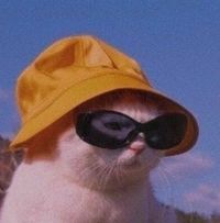 Avatar de Adri Alfaro