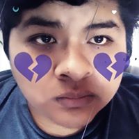 Avatar de Richard Mamani Condemayta