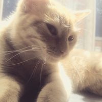 Avatar de Daniel Brand