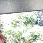 Avatar de Charlie Smith Rosales