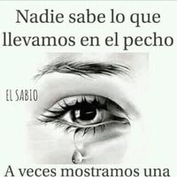 Avatar de Rodriguez Cecilia