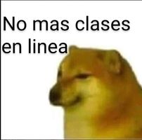 Avatar de Elcoco Naso