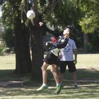Avatar de Bruno Gauna