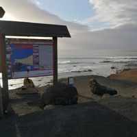 Avatar de Mika Martínez