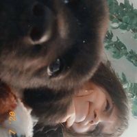 Avatar de Camila Arciniegas