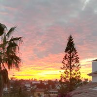 Avatar de Oriol Balagué