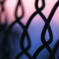 Avatar de Diego Mendoza