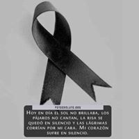 Avatar de Daniel Steban Buitrago Suaterna
