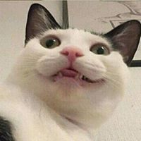 Avatar de Jesus